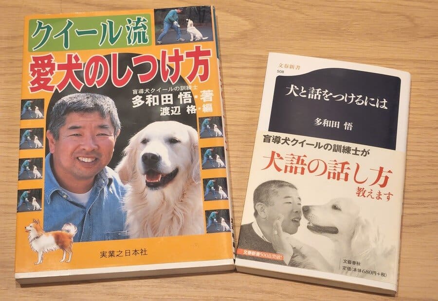 愛犬の健康にはドッグフードと手作りご飯どっちがいい もふもふウォーカー